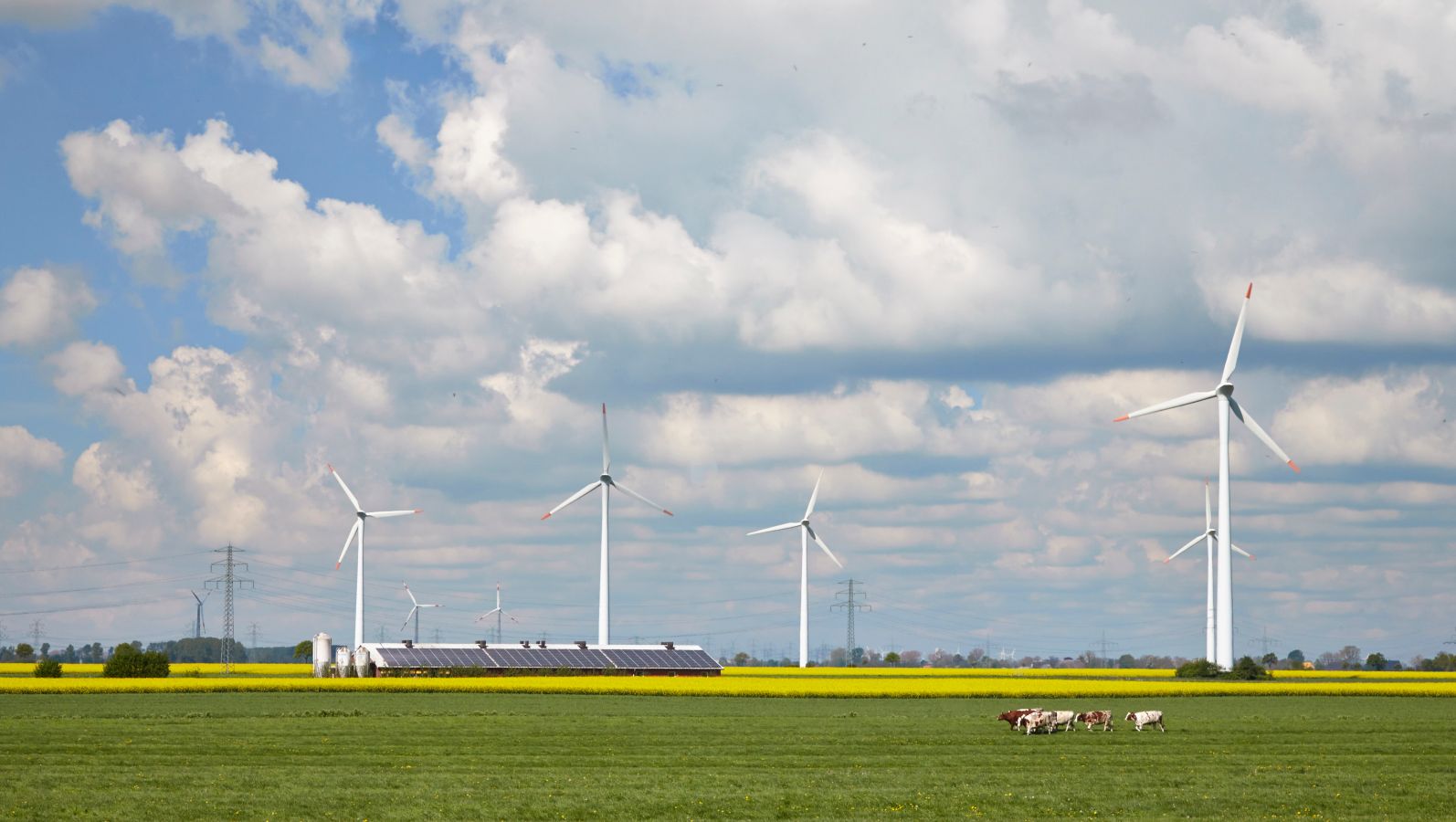 Das Bild zeigte eine Ackerlandschaft in Norddeutschland, in deren Hintergrund Windräder zu sehen sind. 
