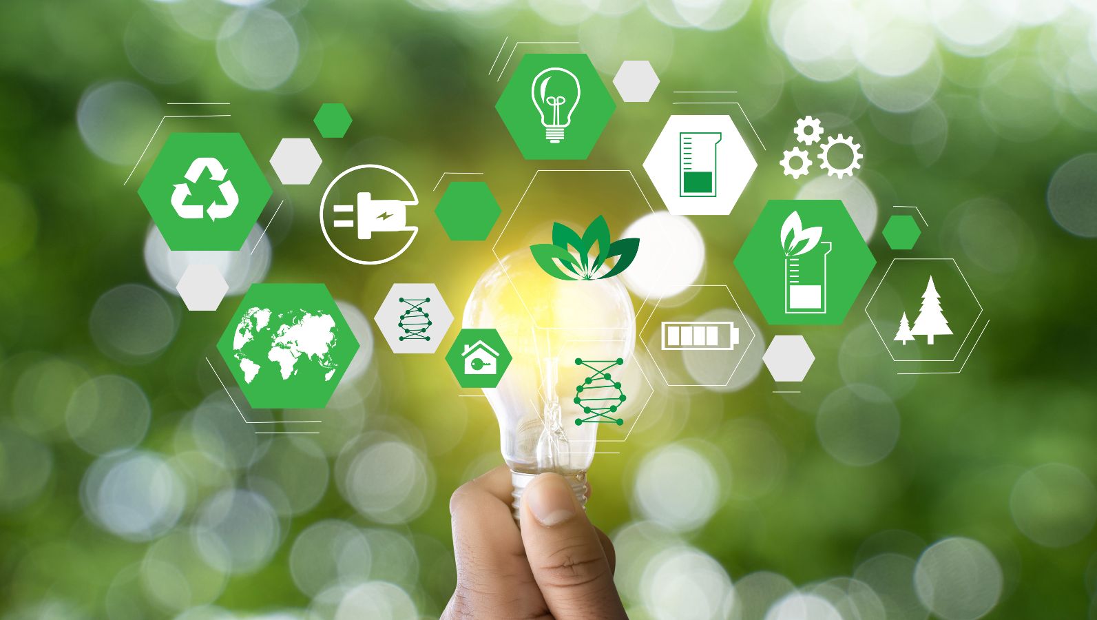 Das Foto zeigt eine leuchtende Glühbirne und dazu verschiedene Symbole zum Thema erneuerbare Energie - zum Beispiel die Symbole für Wald und Recycling. 