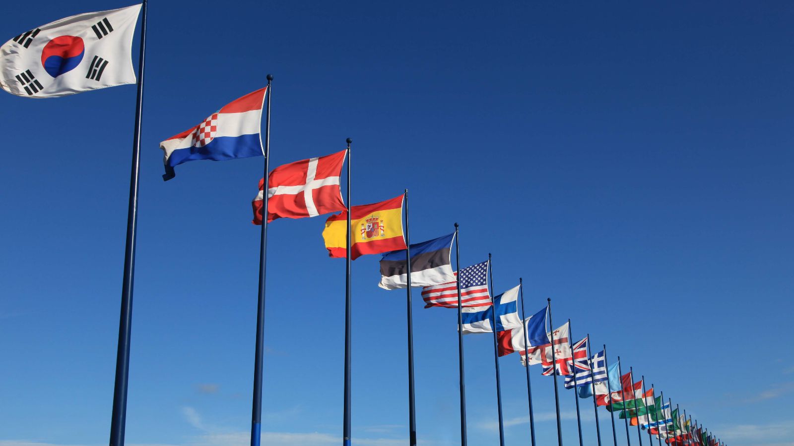 Das Bild zeigt eine Reihe von internationalen Flaggen.