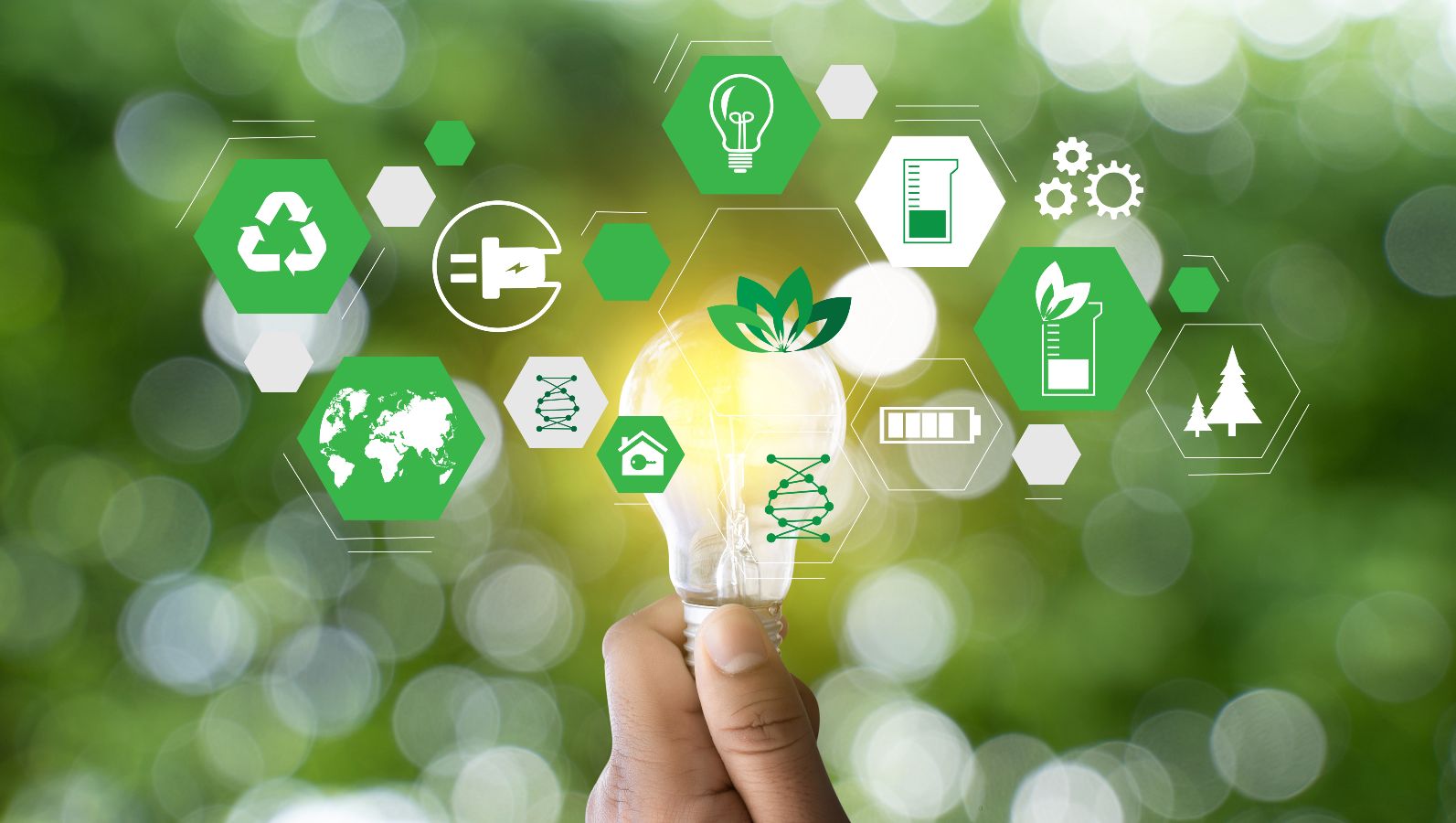 Die Fotomontage zeigt Symbole aus den Bereichen Umwelt und Energiesystem.