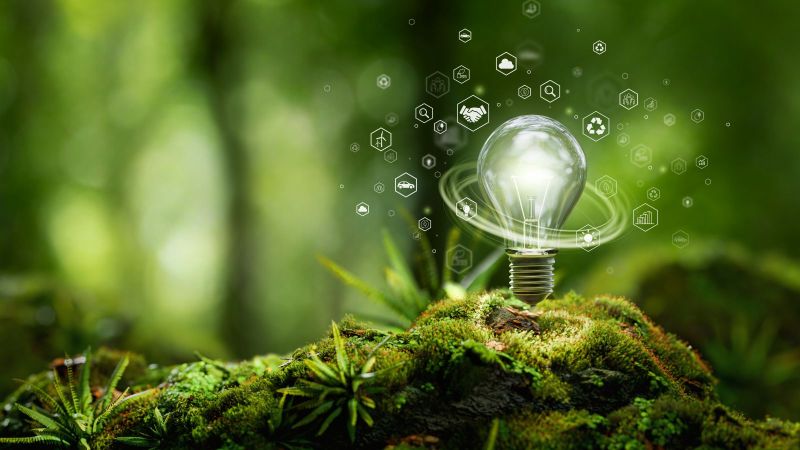 Das Bild zeigt ein Glühbirne auf dem Waldboden, um die herum mehrere Icons zum Themengebiet Klimaschutz zu sehen sind.