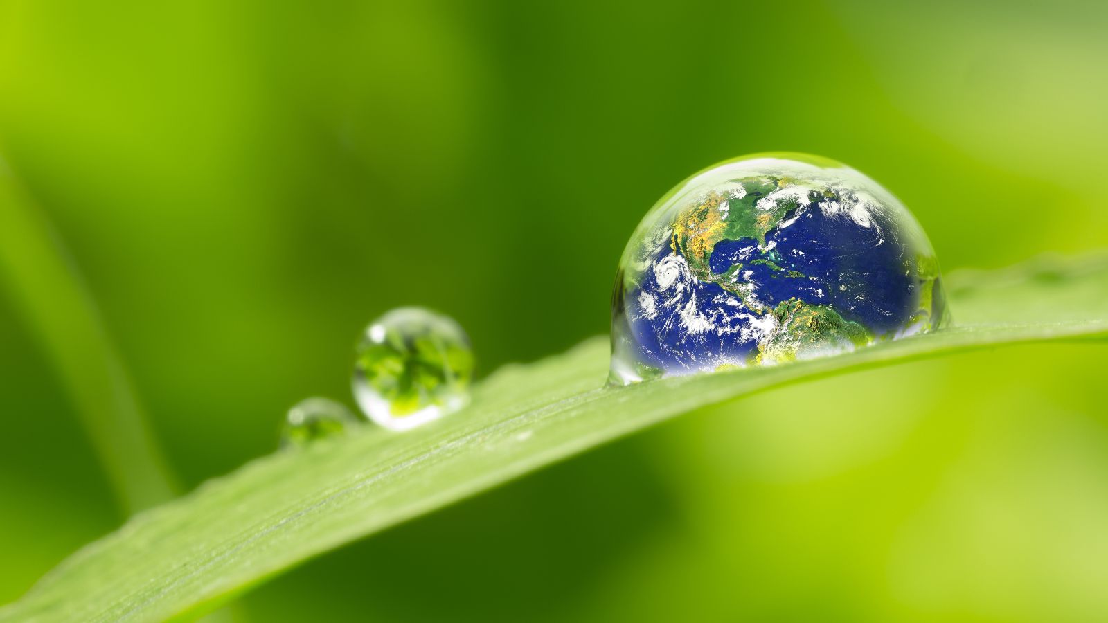 Source: © hankimage9 - stock.adobe.com