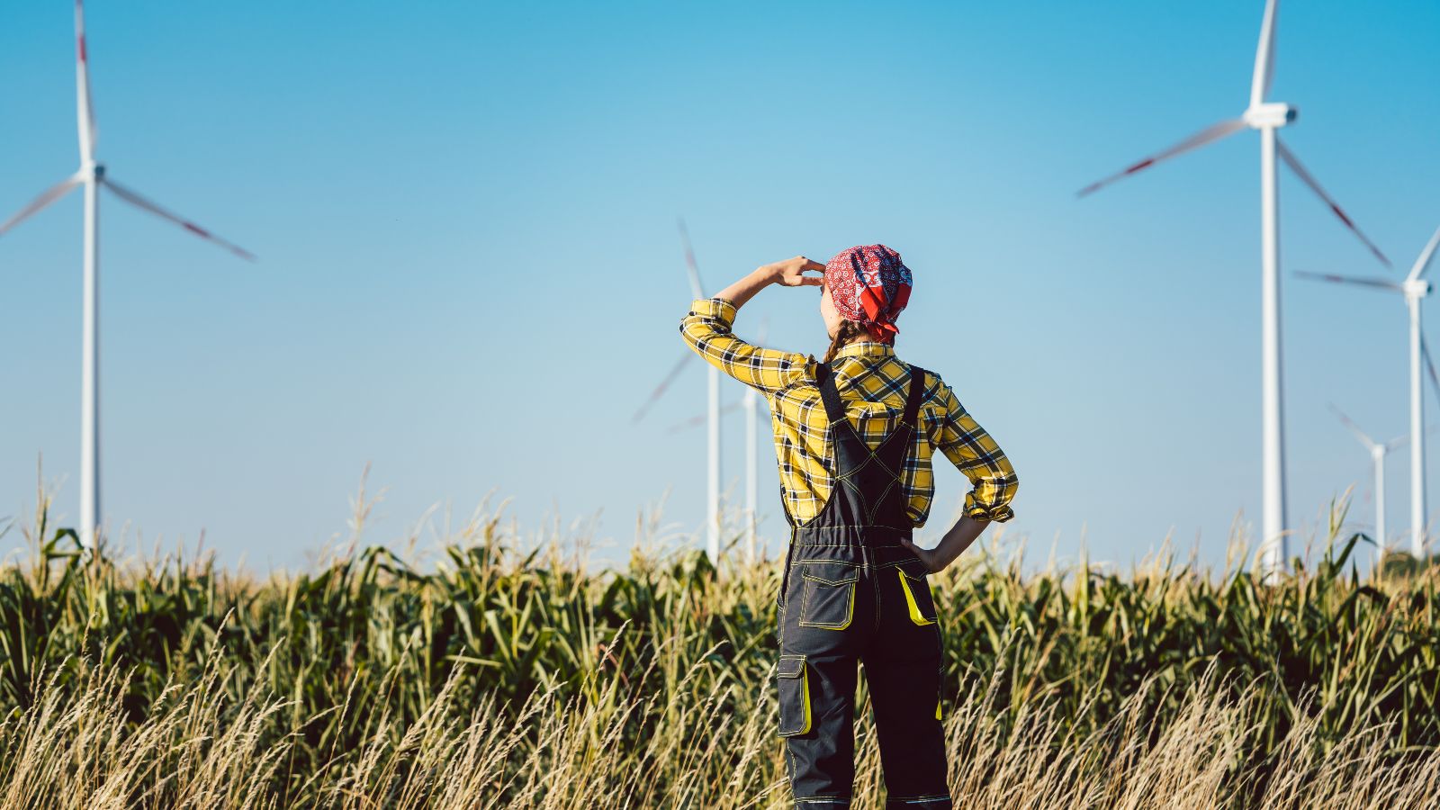 Das Bild zeigt eine Frau in Arbeitskleidung. Sie steht vor einem Feld und sieht in die Ferne. Im Hintergrund sind Windenergieanlagen zu erkennen.