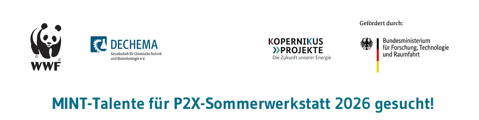 Das Bild zeigt einen Ausschnitt der offiziellen Einladung zur Sommerwerkstatt